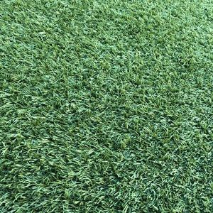 Meet your Posher, Alejandro